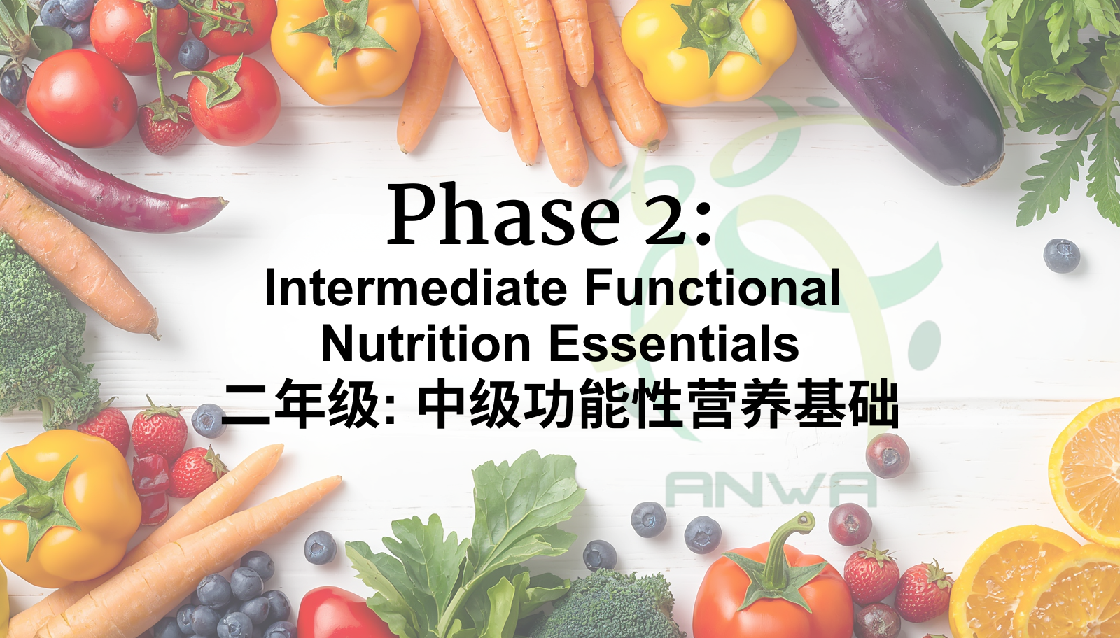 二年级: 中级功能性营养基础